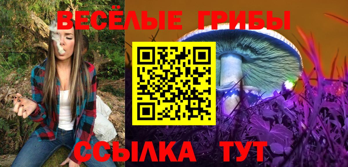 Галлюциногенные грибы Psilocybine cubensis Ликино-Дулёво